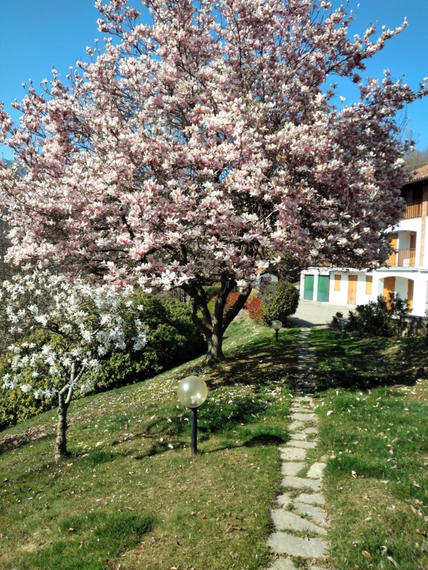 Appartamento A Due Passi Da Burcina Favaro Екстер'єр фото